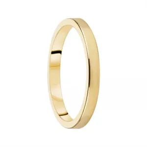Destiny Förlovning 2,5mm 18K