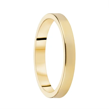 Destiny Förlovning 3,0mm 14K
