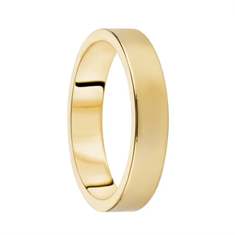 Destiny Förlovning 4,0mm 14K