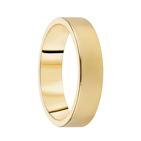 Destiny Förlovning 5,0mm 14K