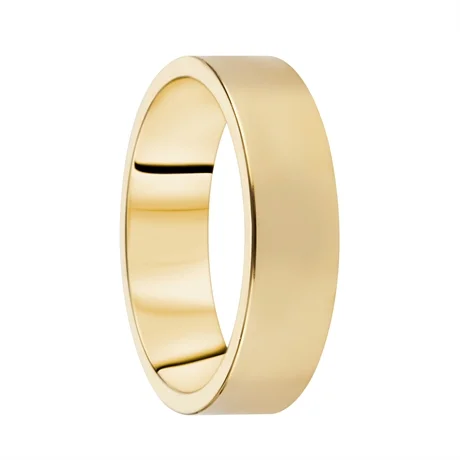 Destiny Förlovning 6,0mm 14K