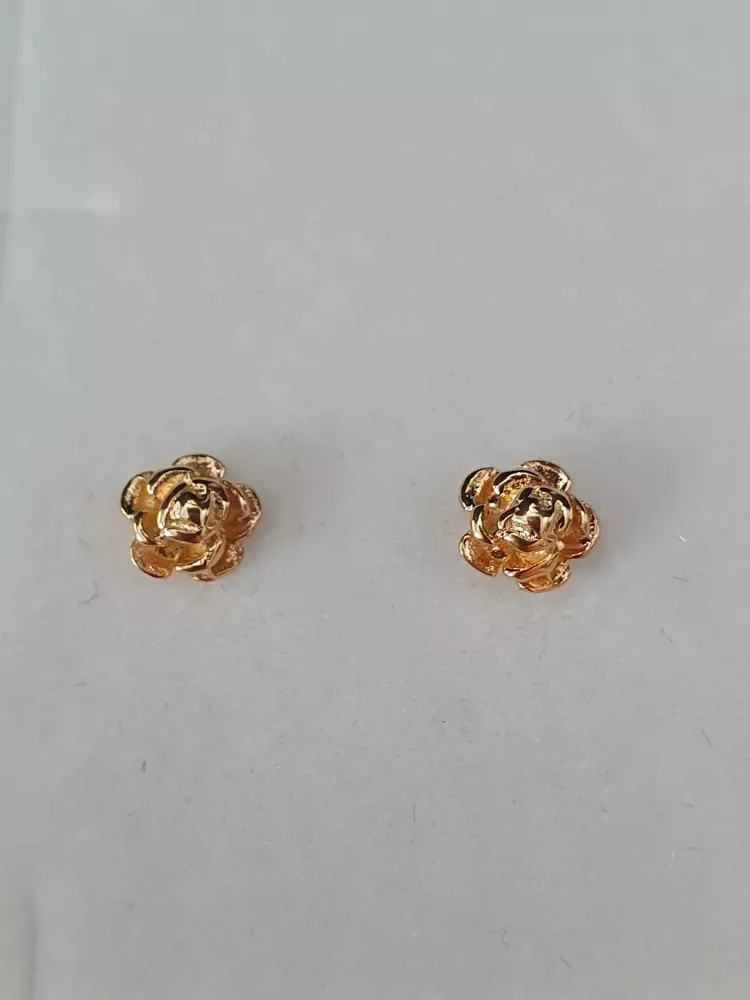 Ros fasta 18K 180624Ö