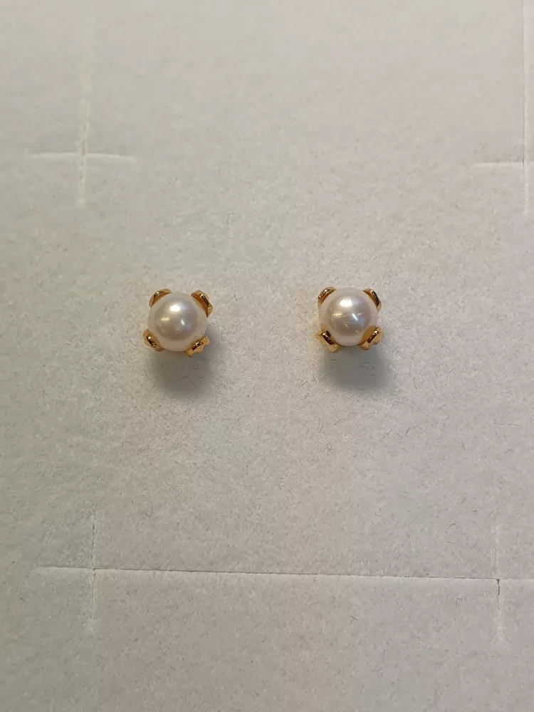 Örhängen knopp m pärla 18K 180985Ö