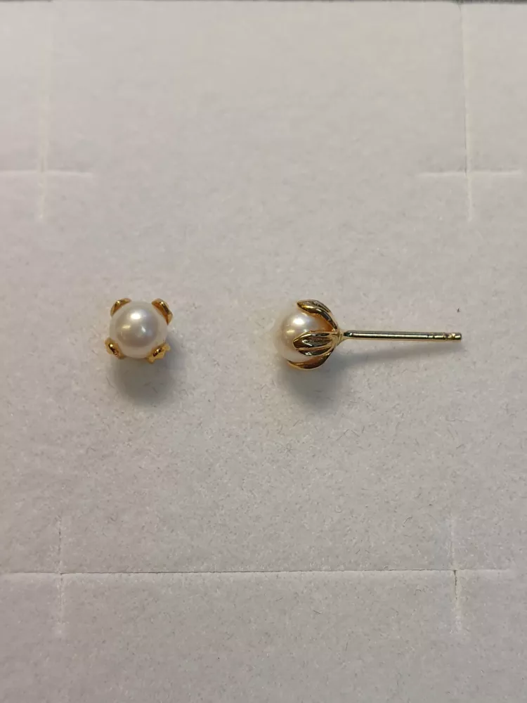 Örhängen knopp m pärla 18K 180985Ö