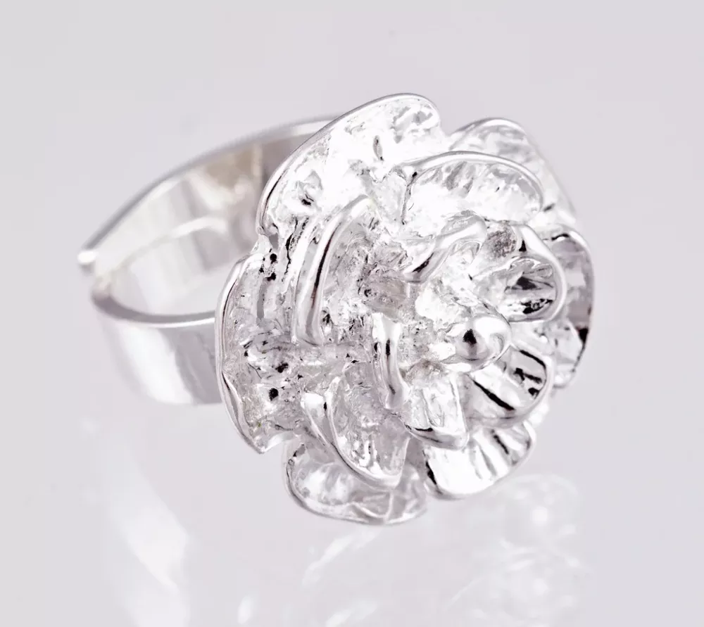 Silverring 9250020R