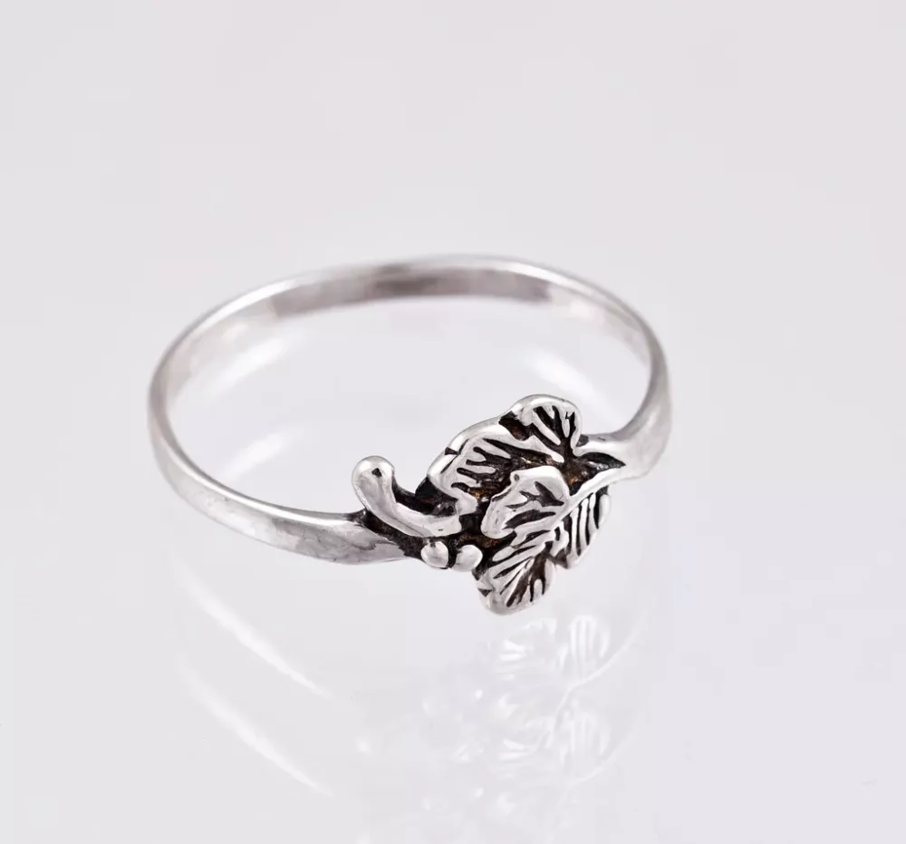 Silverring 9250198R