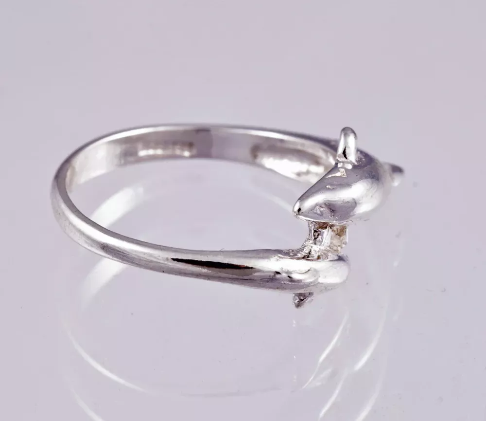 Silverring 9250265R