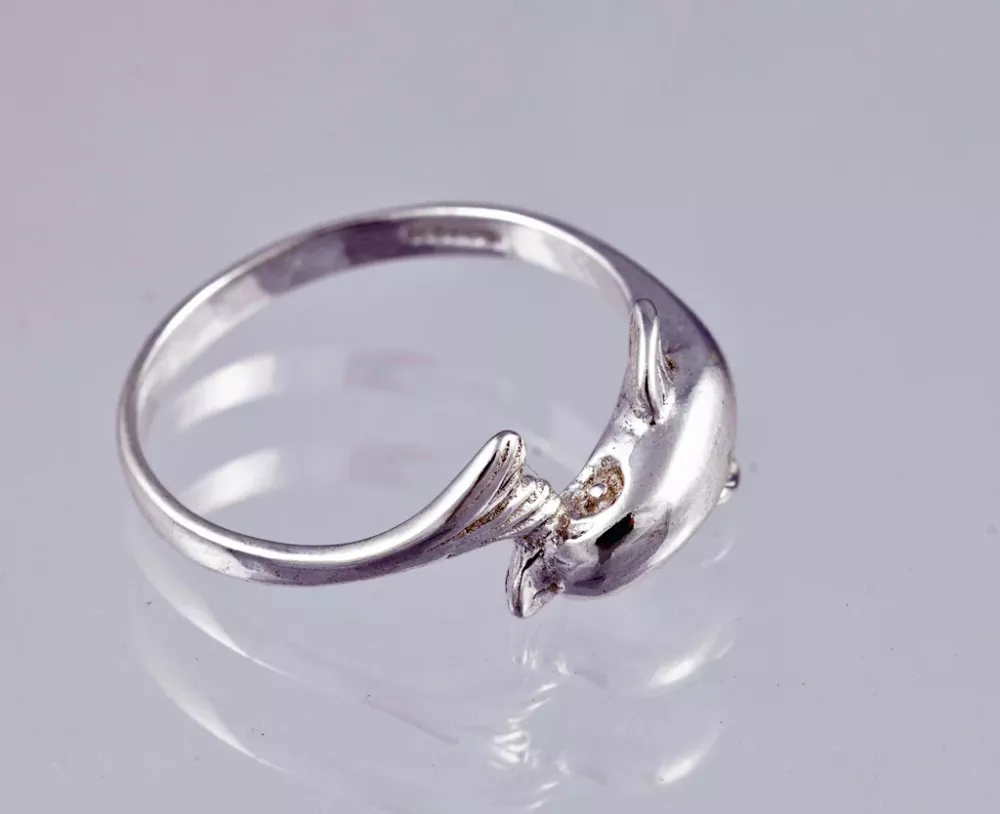 Silverring 9250266R