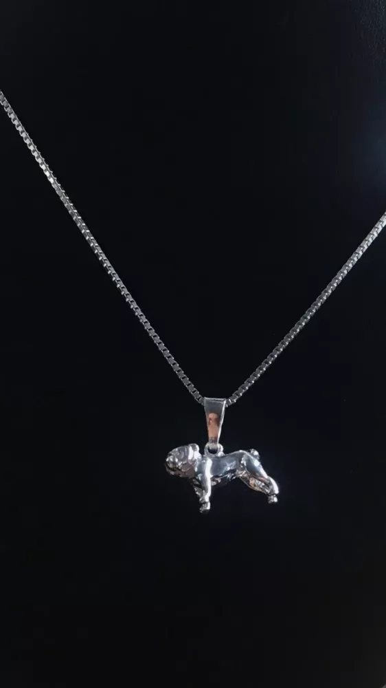 Bulldog silver 9250283H