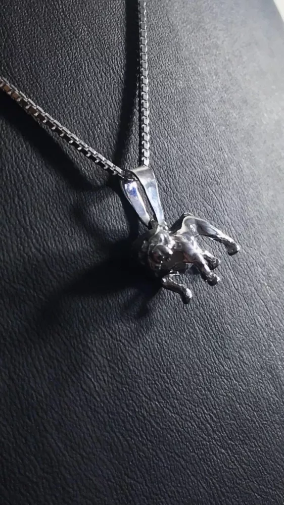 Bulldog silver 9250283H