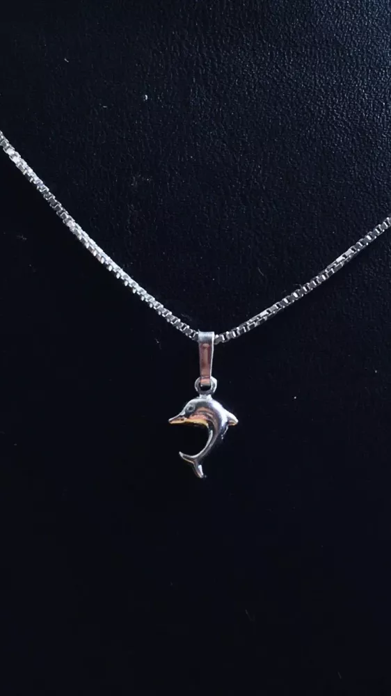 Delfin silver 9251248H