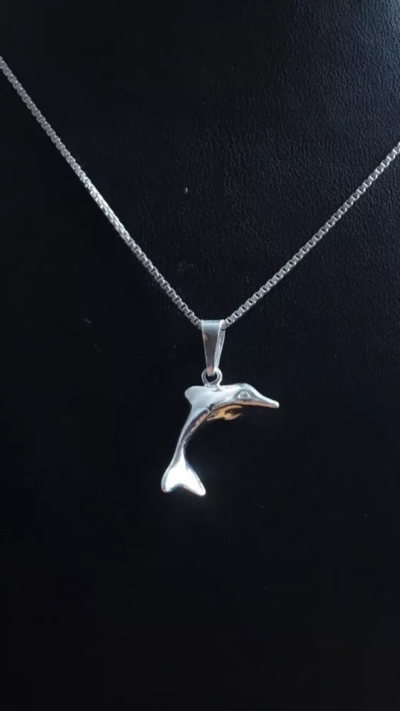 Delfin silver 9251300H