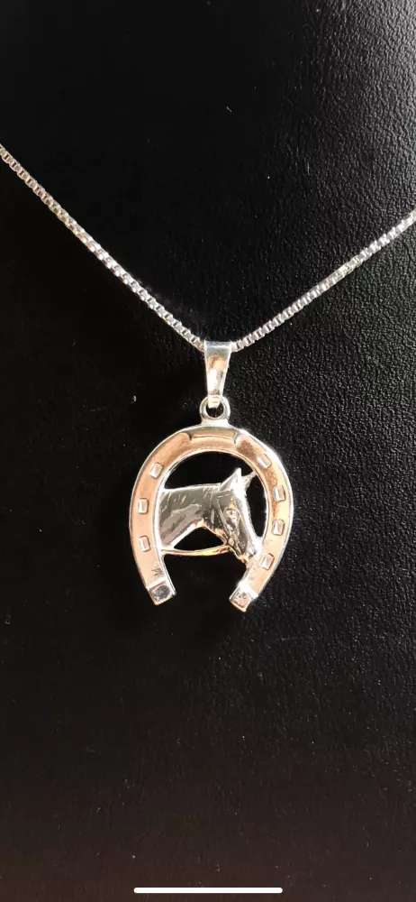 Hästsko och häst silver 9251689H