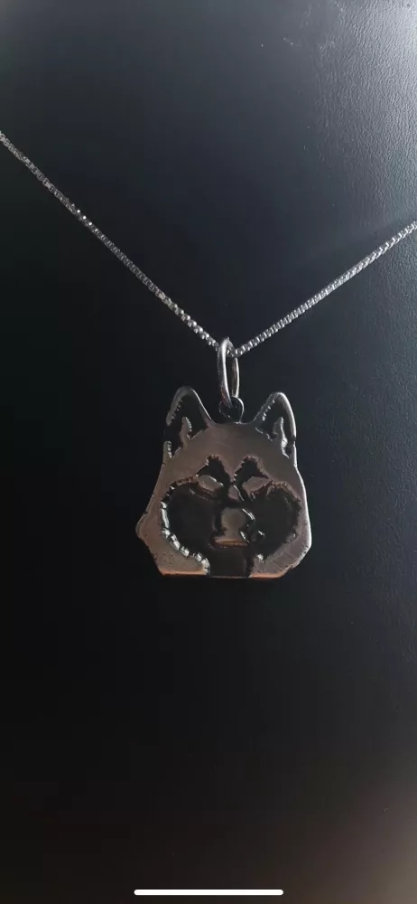 Varghund silver 9251758H