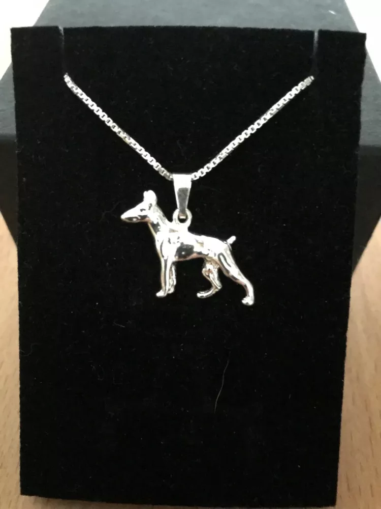 Dobermann silver