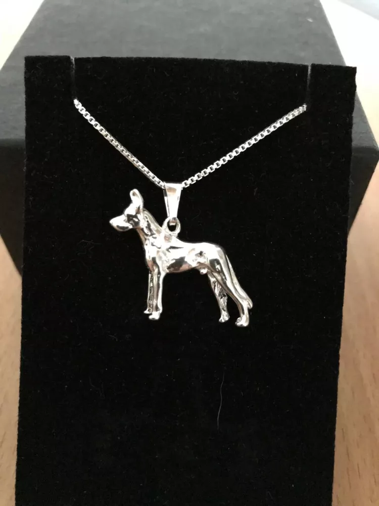 Grand danois silver