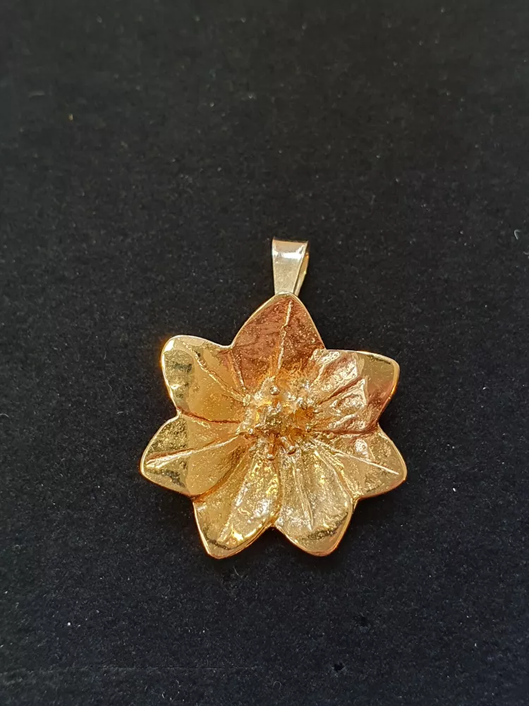 Skogsstjärna hänge/brosch stor 18K