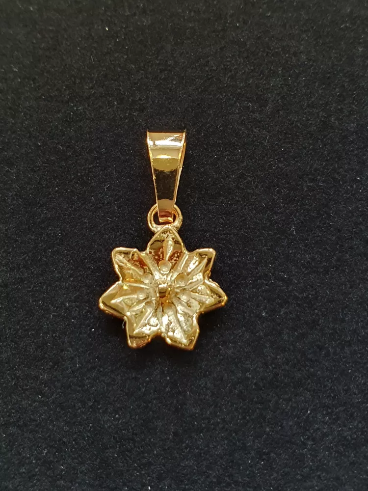 Skogsstjärna hänge liten 18K