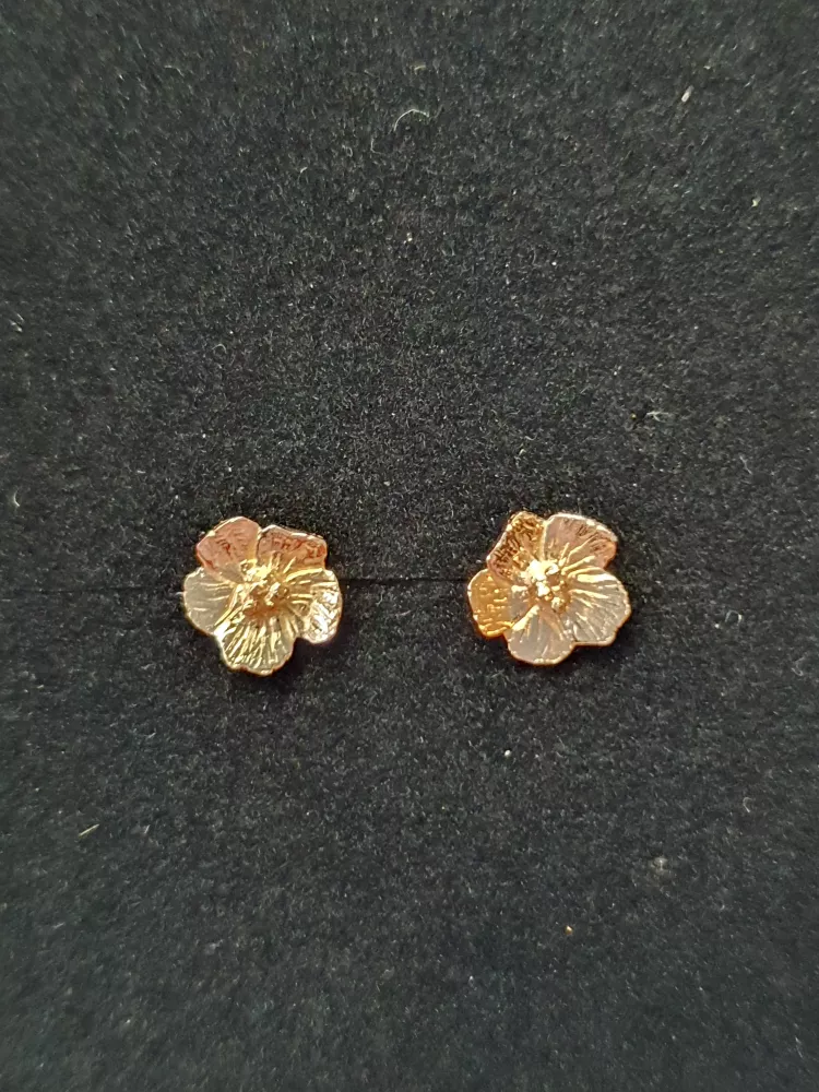 Linnéa hänge 18K