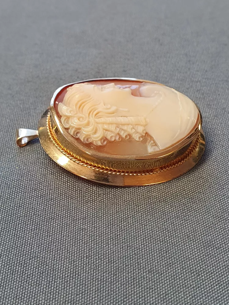 Camé hänge/brosch 9,6gr 18K