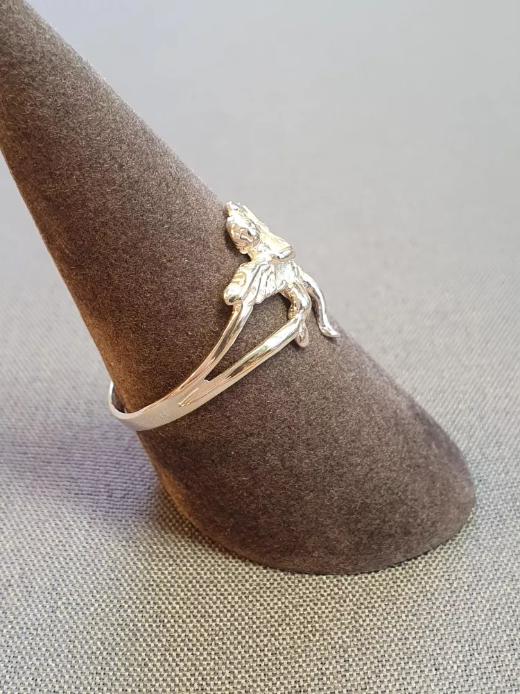 Silverring 9250308R