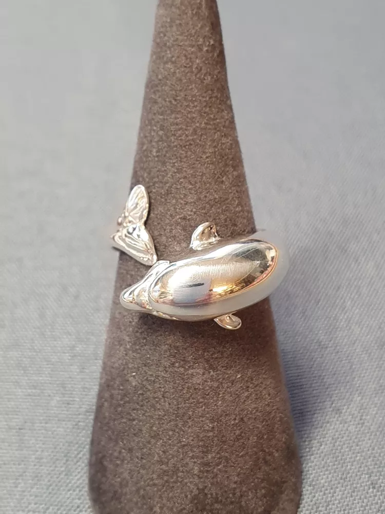 Silverring 9250475R