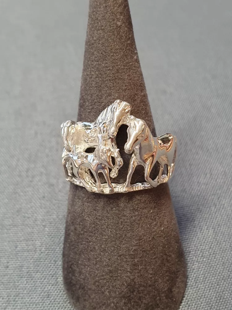 Silverring 9250694R