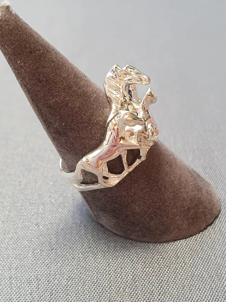 Silverring 9250694R
