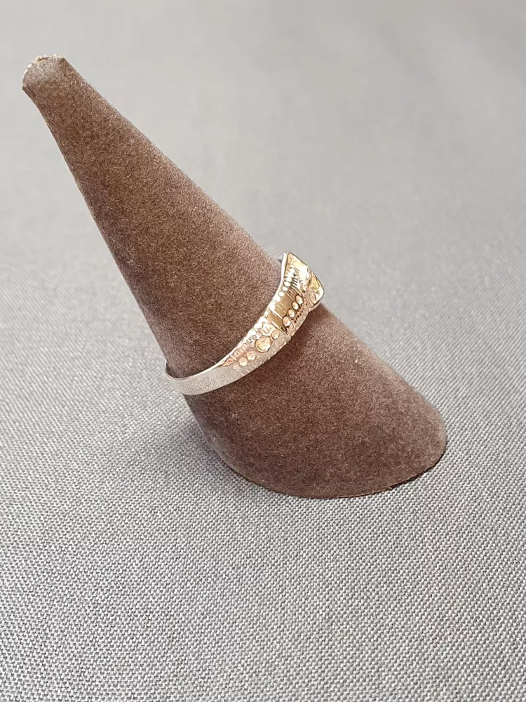 Silverring 9250297R