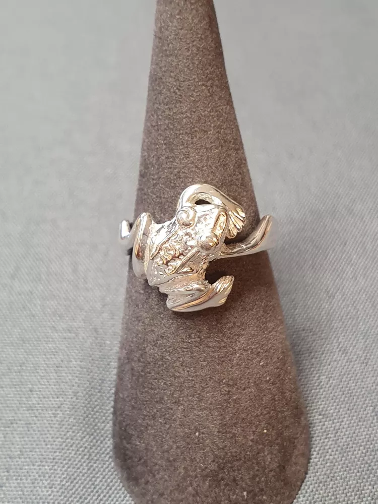 Silverring 9250543R