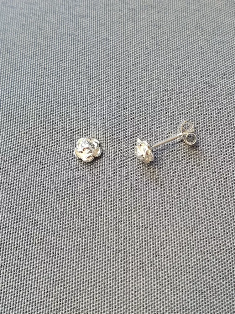Silver örhängen 9250624E