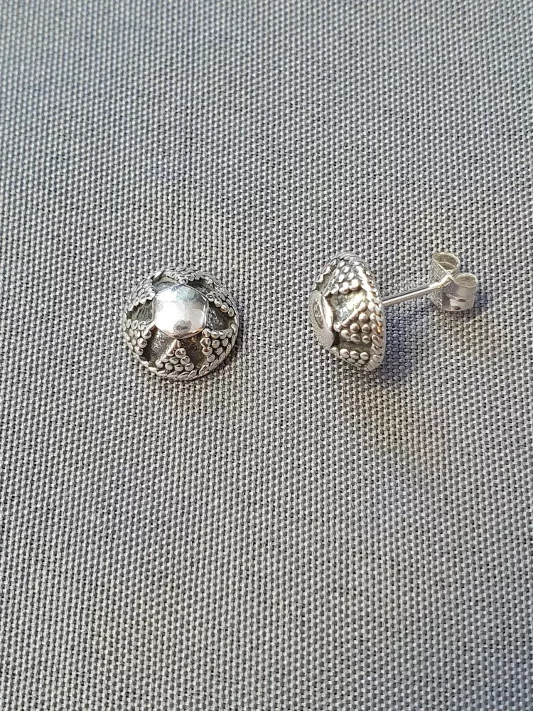 Silver örhängen 9250682E