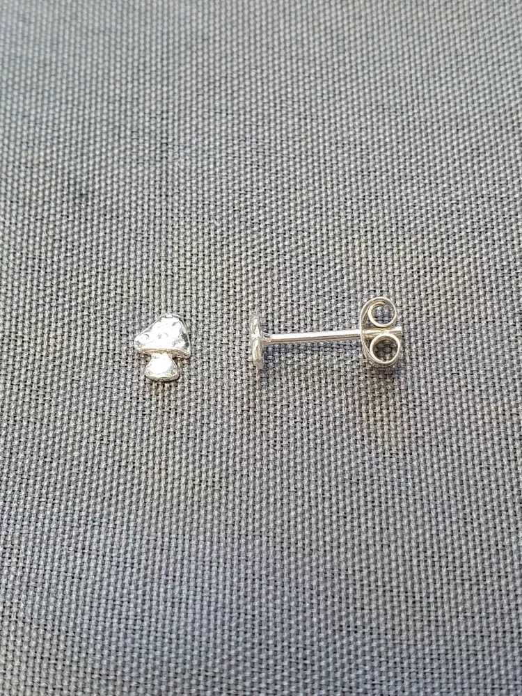 Silver örhängen 9250974E