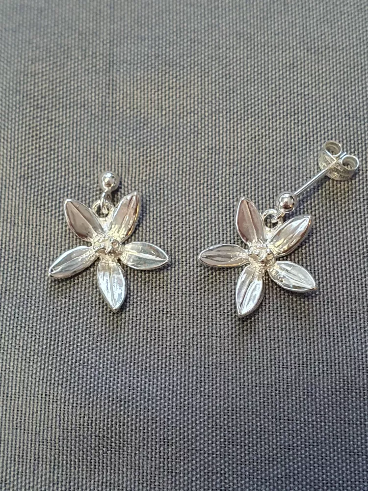 Silver örhängen 9250715E