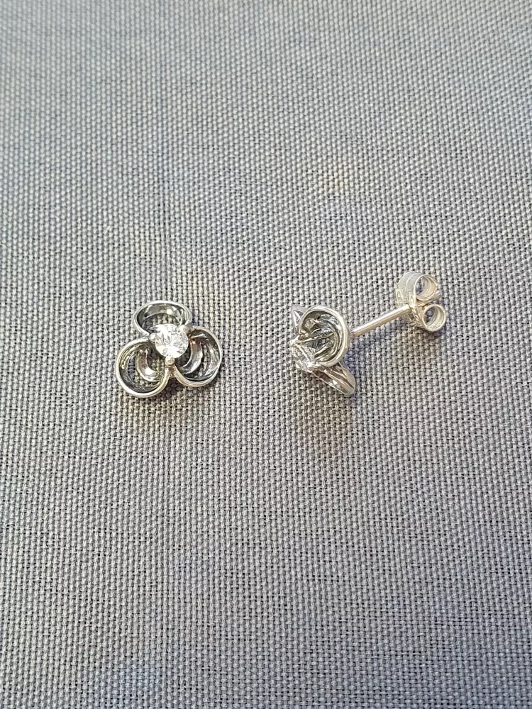 Silver örhängen 9250766E