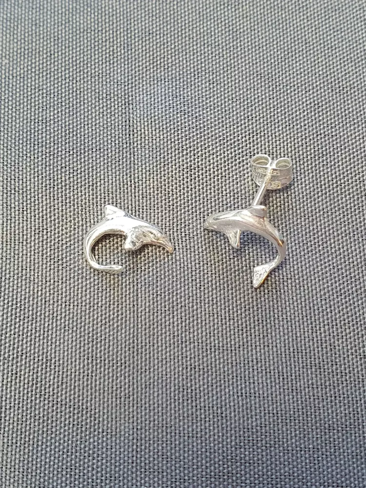 Silver örhängen 9250858E