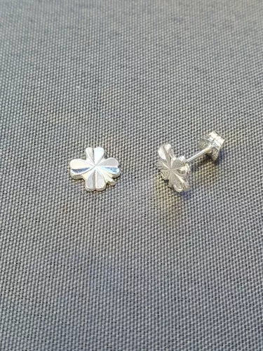 Silver örhängen 9251133E