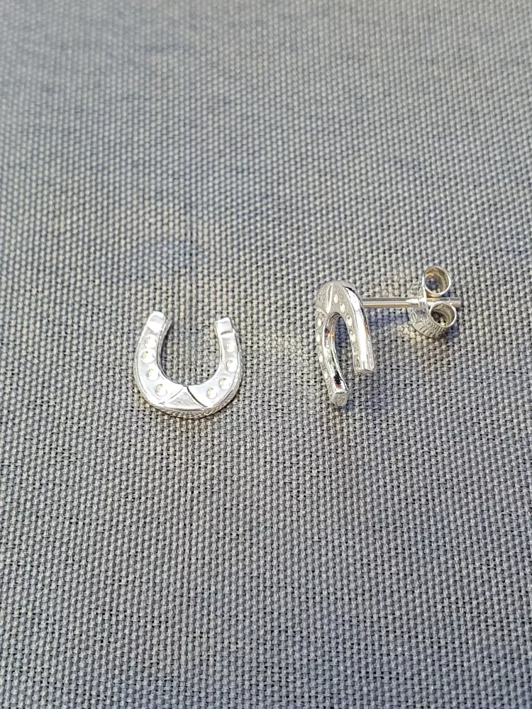 Silver örhängen 9250007E