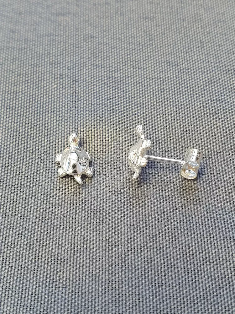 Silver örhängen 9250011E