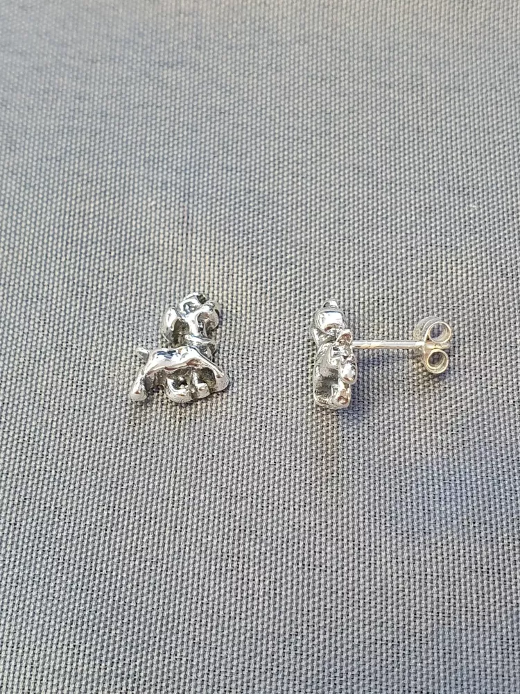Silver örhängen 9250891E