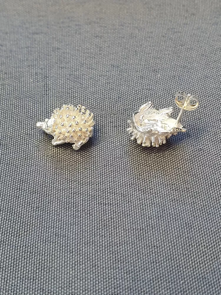 Silver örhängen 9250111EF