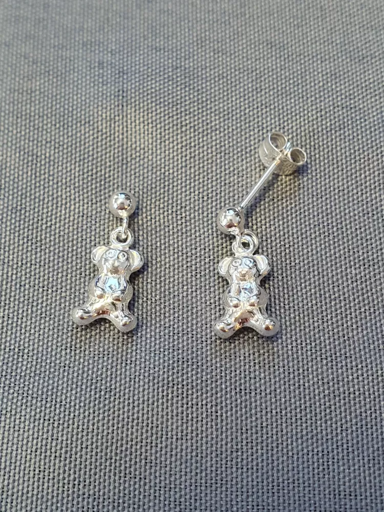 Silver örhängen 9251670EH