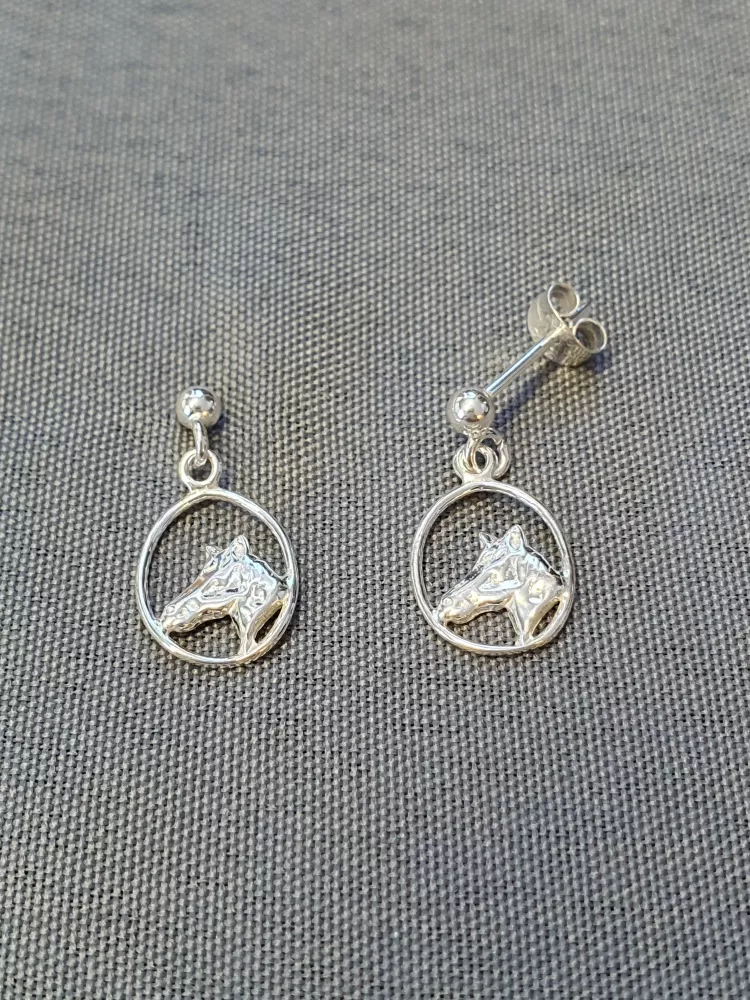 Silver örhängen 9250024E