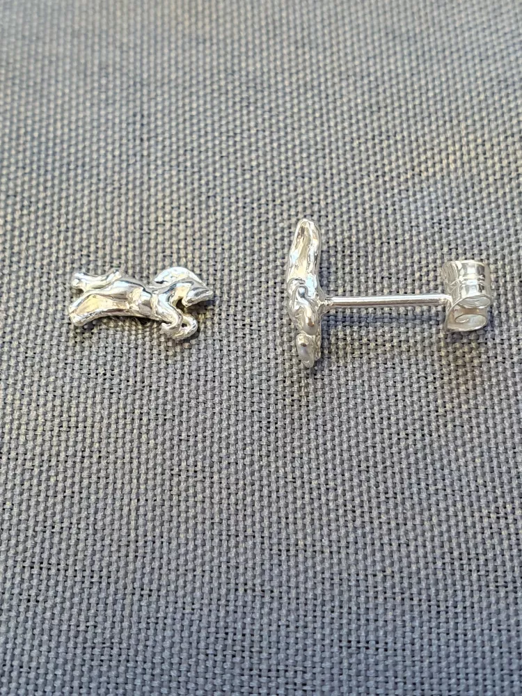 Silver örhängen 9250514E