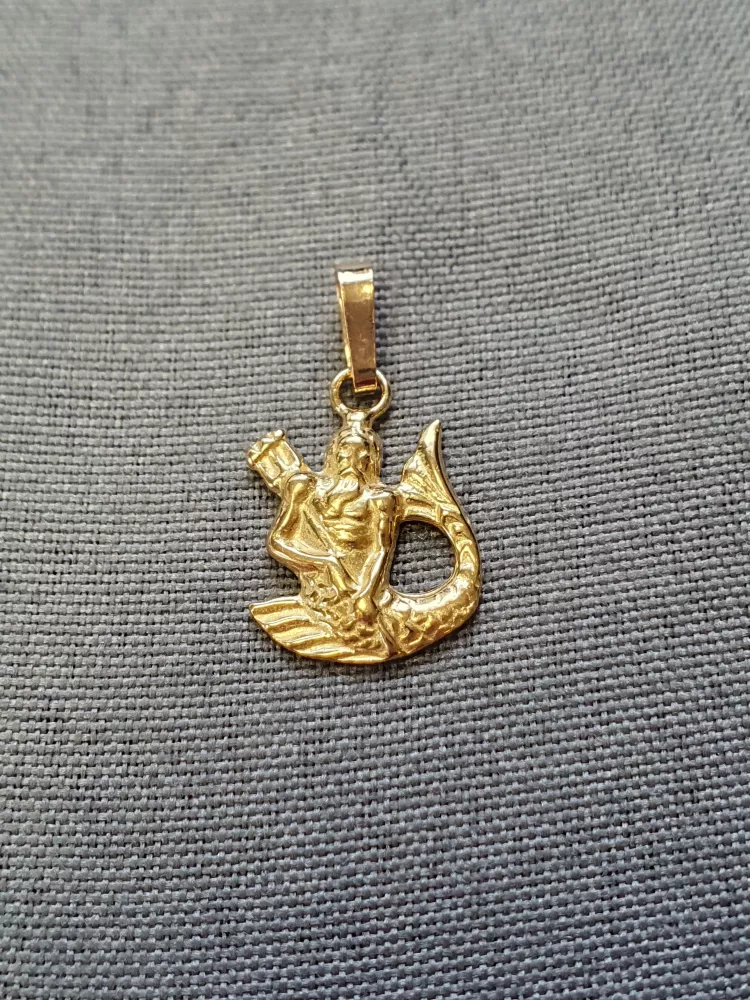 Vattumanen hängsmycke 18K 180166H