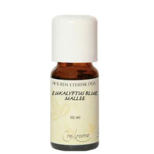 EUKALYPTUS BLUE MALLE 10ML