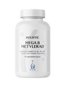 HOLISTIC MEGA B METYLERAD 90 KAPSLAR