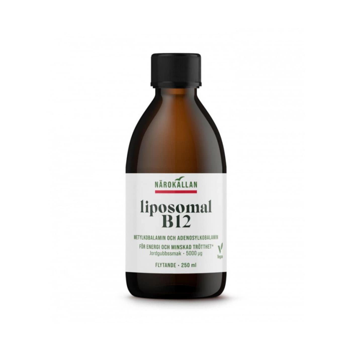 LIPOSOMAL B12 5000 MCG NÄROKÄLLAN