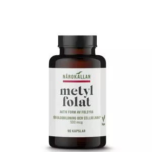 NÄROKÄLLAN METYL FOLAT 500MCG 90KAPS