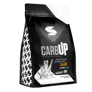 SKYTRITION CARB UP 25 SERV